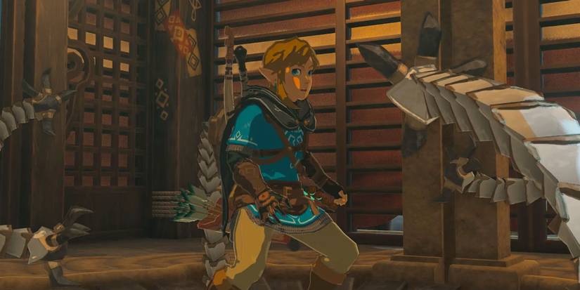 Tears of the Kingdom Player Makes Interesting Discovery About Zonai Devices