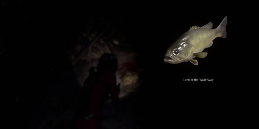 image showing how to beat lord of the waterway request in separate ways.