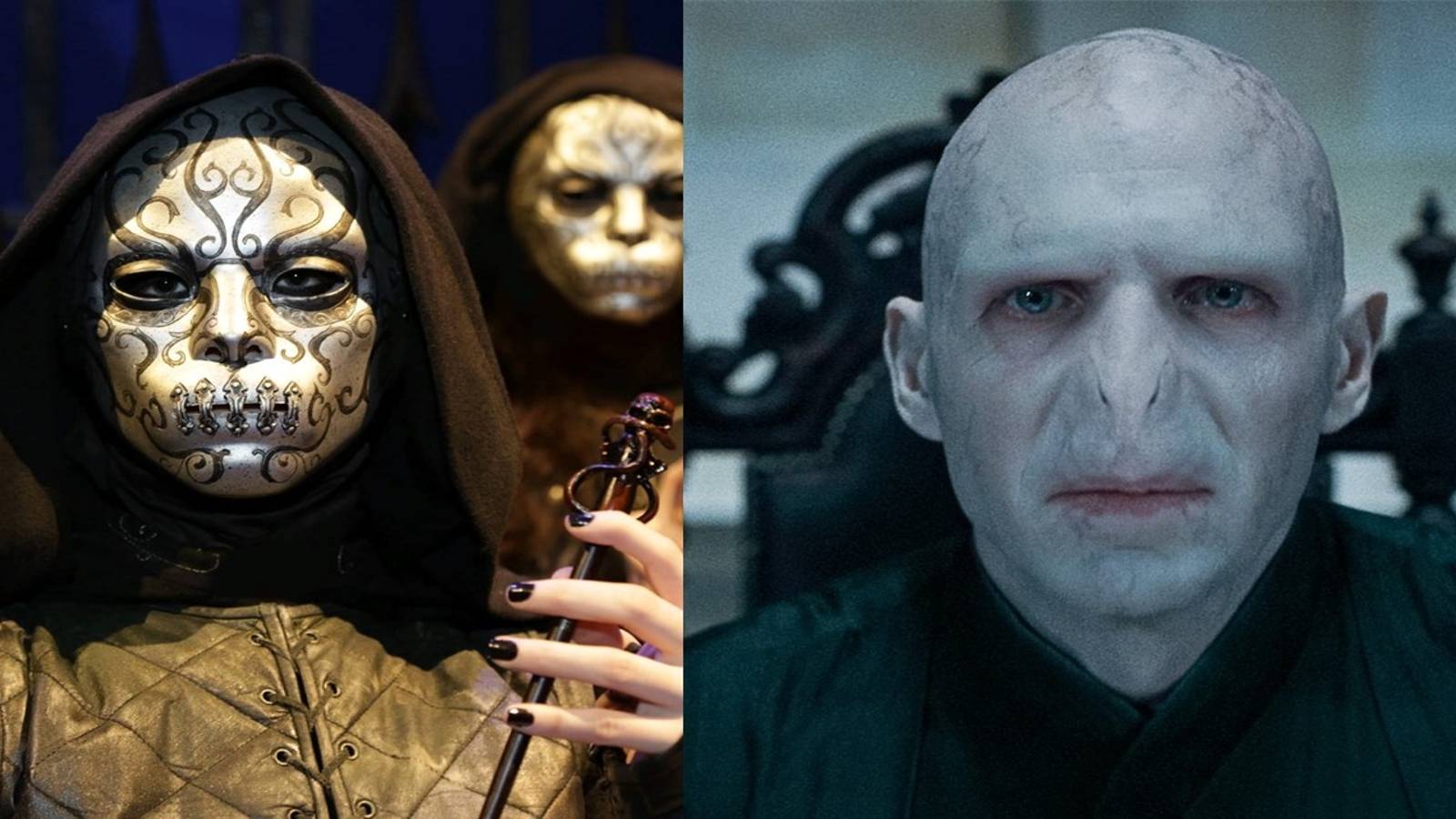 Lord Voldemort and Death Eaters, Harry Potter