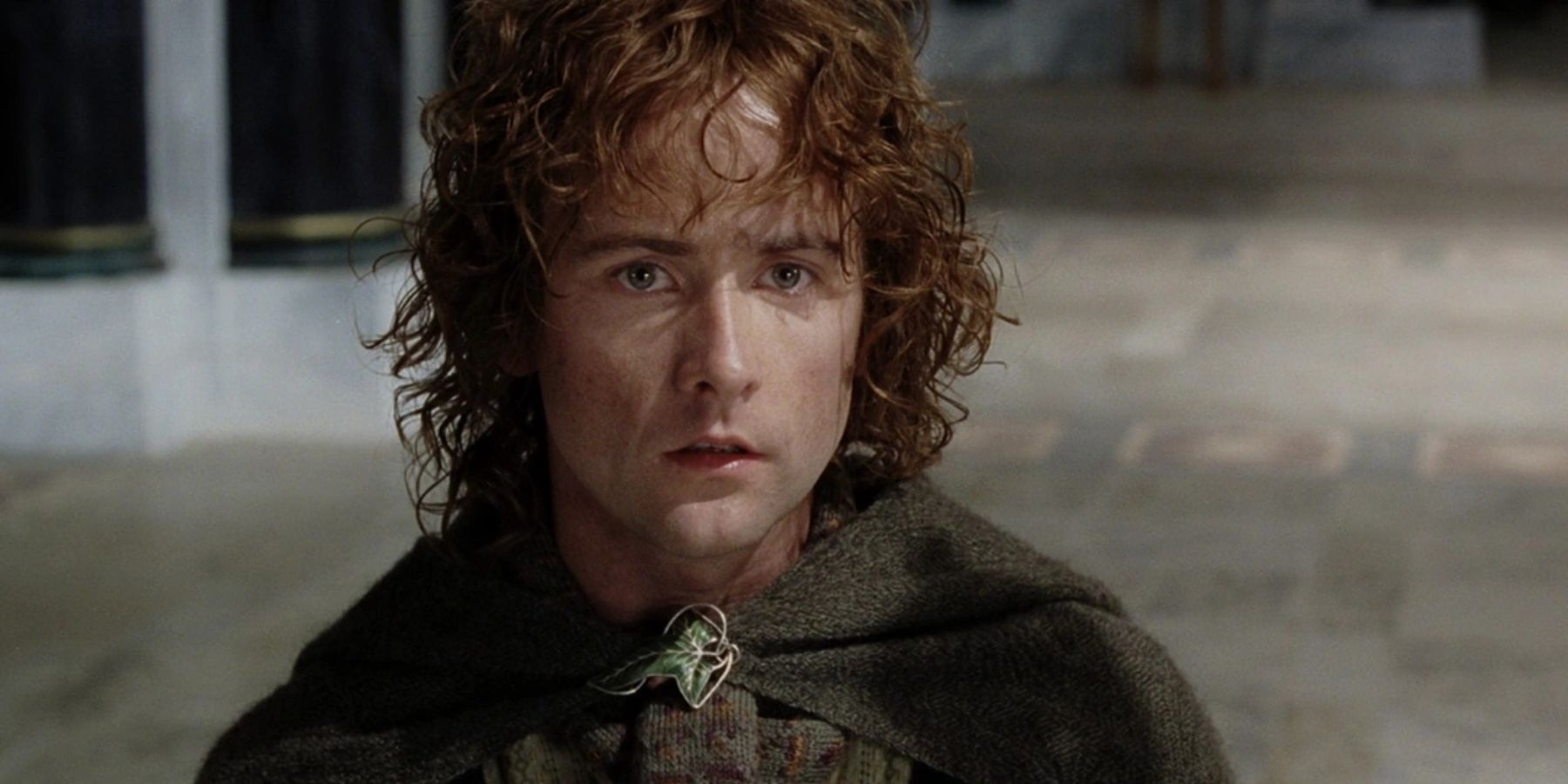 lotr-who-is-pippin