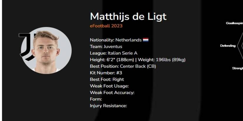 Matthijs de Ligt