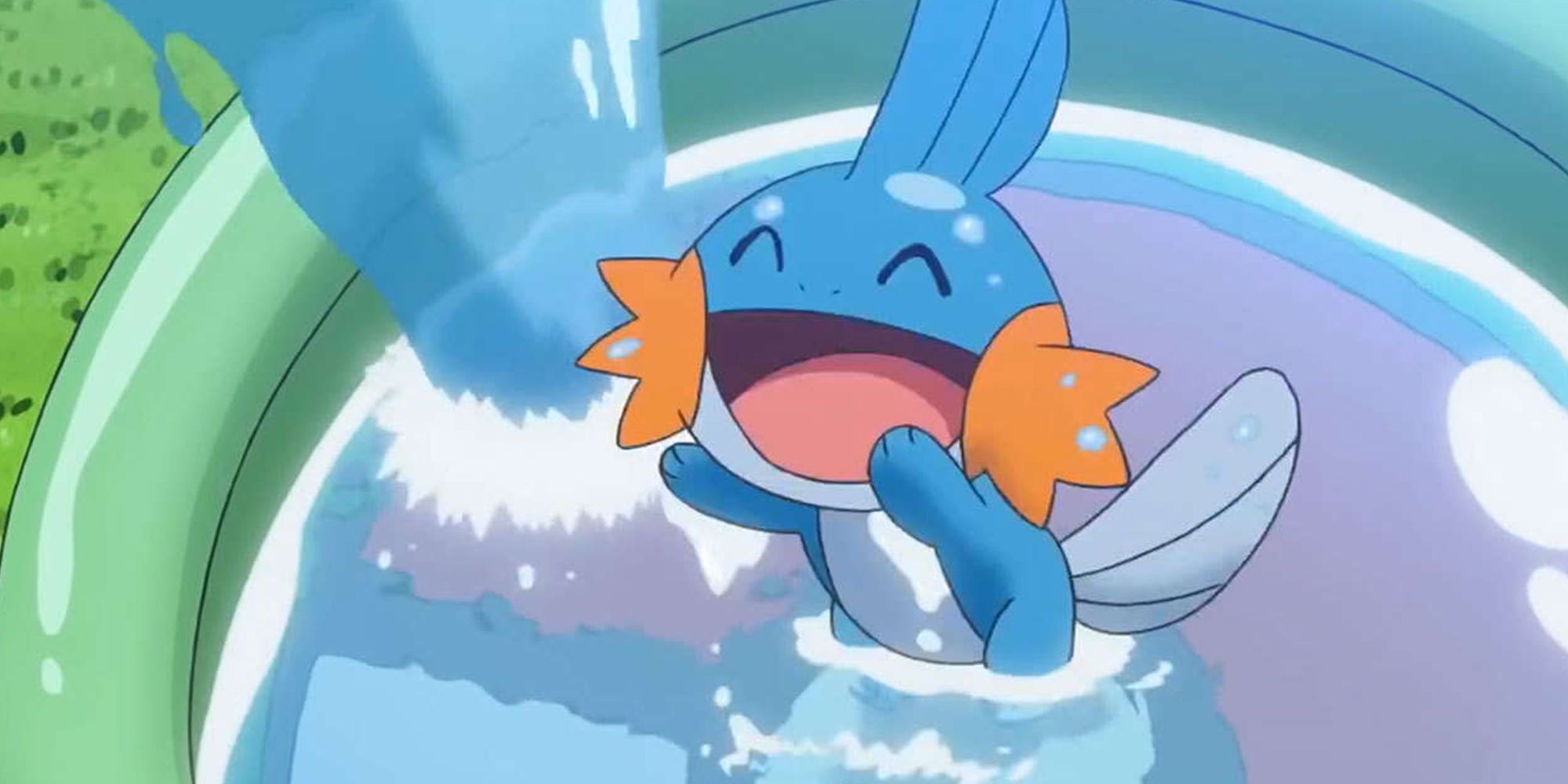 Mudkip In The Pokemon Anime