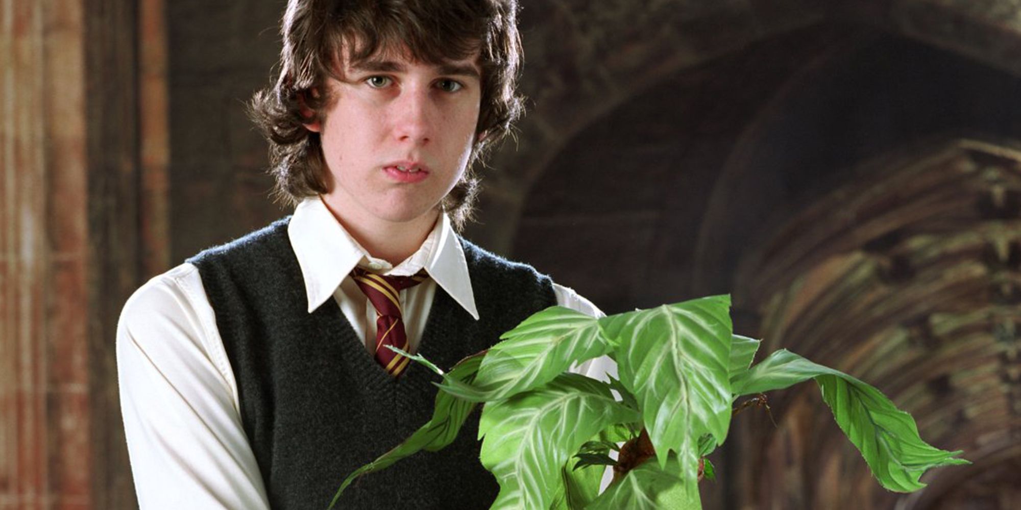 Neville Longbottom In Harry Potter