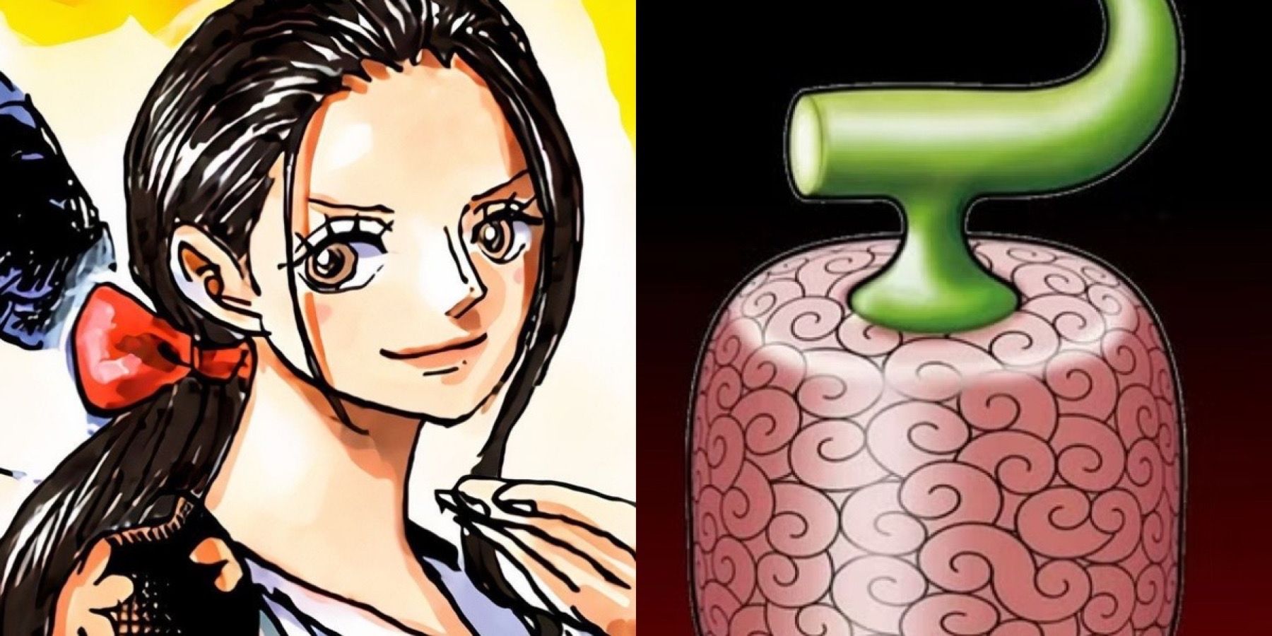 Robin's Hana Hana No Mi Devil Fruit Revealed