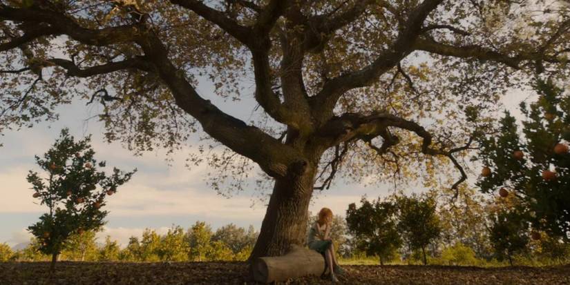 young Nami in One PIece