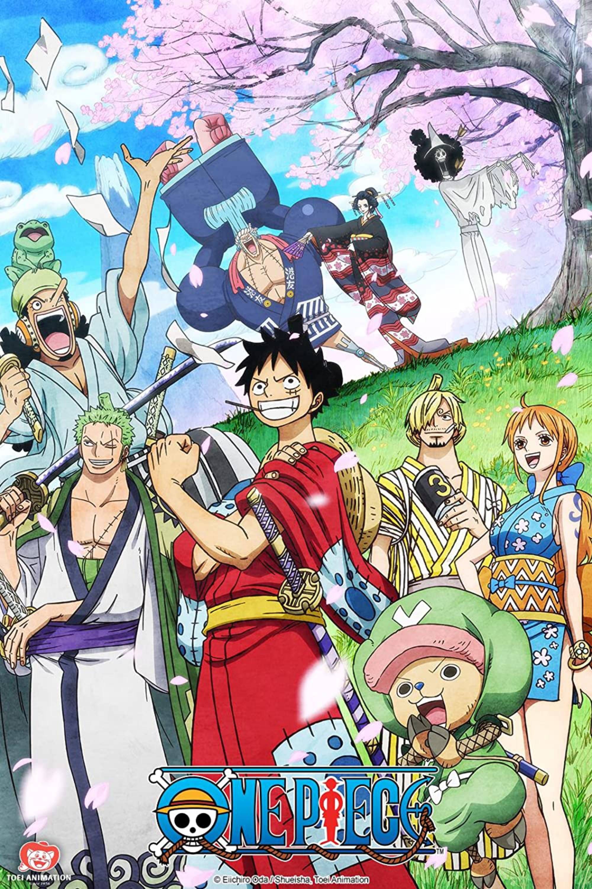 One Piece: Oda Confirms A New Member Of The Straw Hats