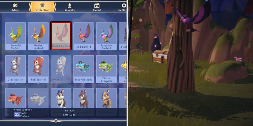 orchid sunbird in disney dreamlight valley