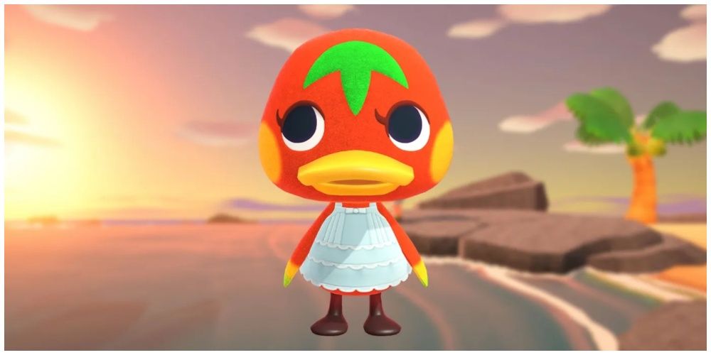 Ketchup from Animal Crossing standing in front of an island background