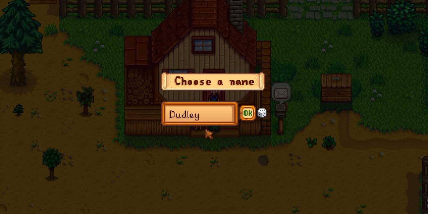 pet name in stardew valley