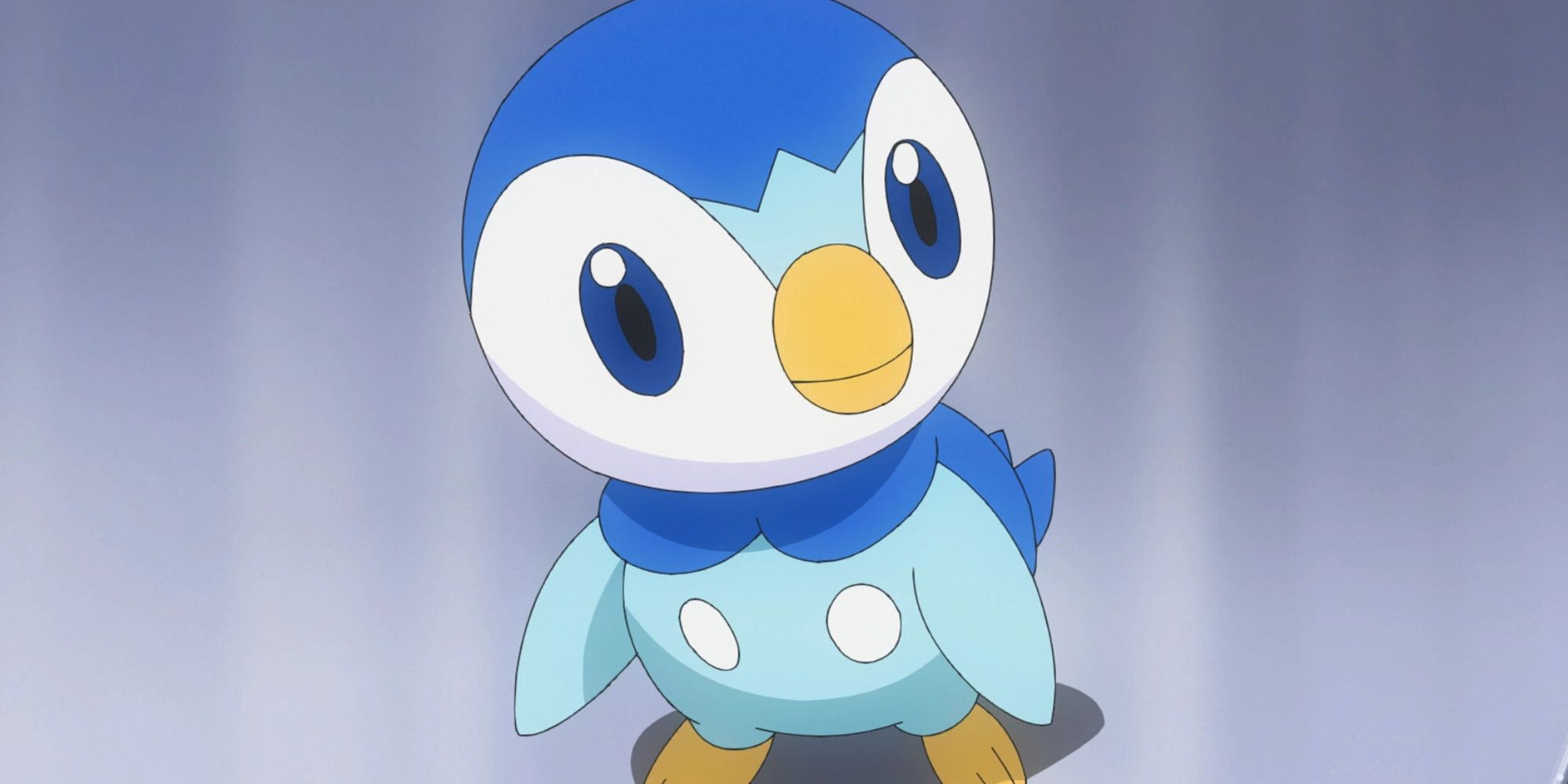 Piplup In The Pokemon Anime