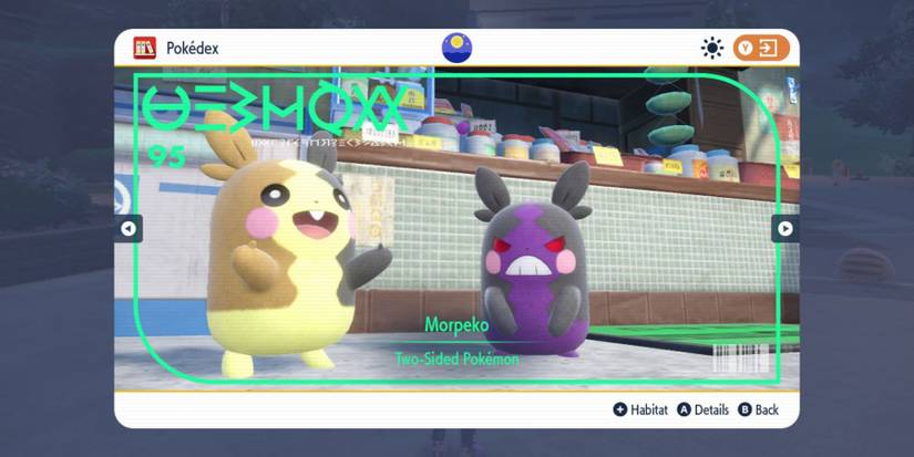 Pokemon Scarlet and Violet DLC Morpeko