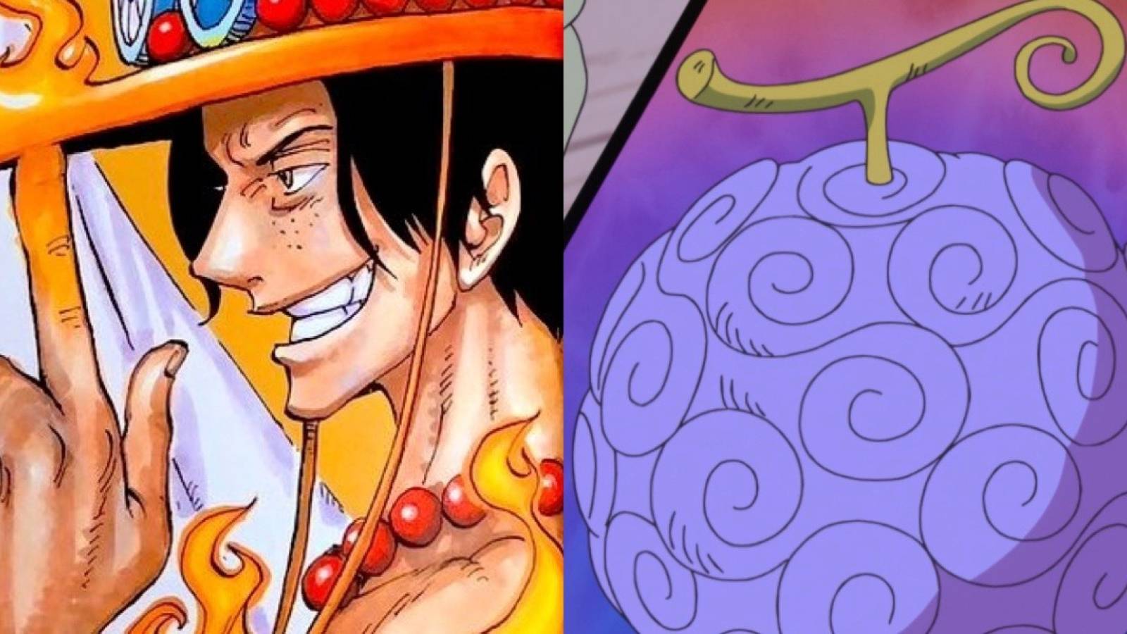 Portgas d ace devil fruit one piece