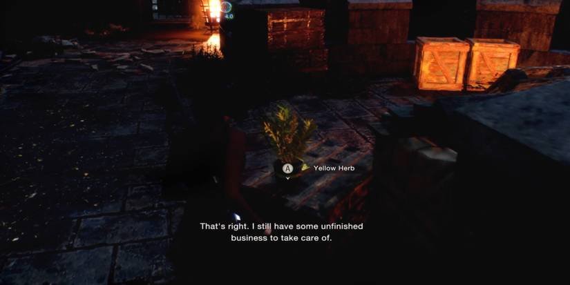 re4 SW - yellow herb - chapter 4