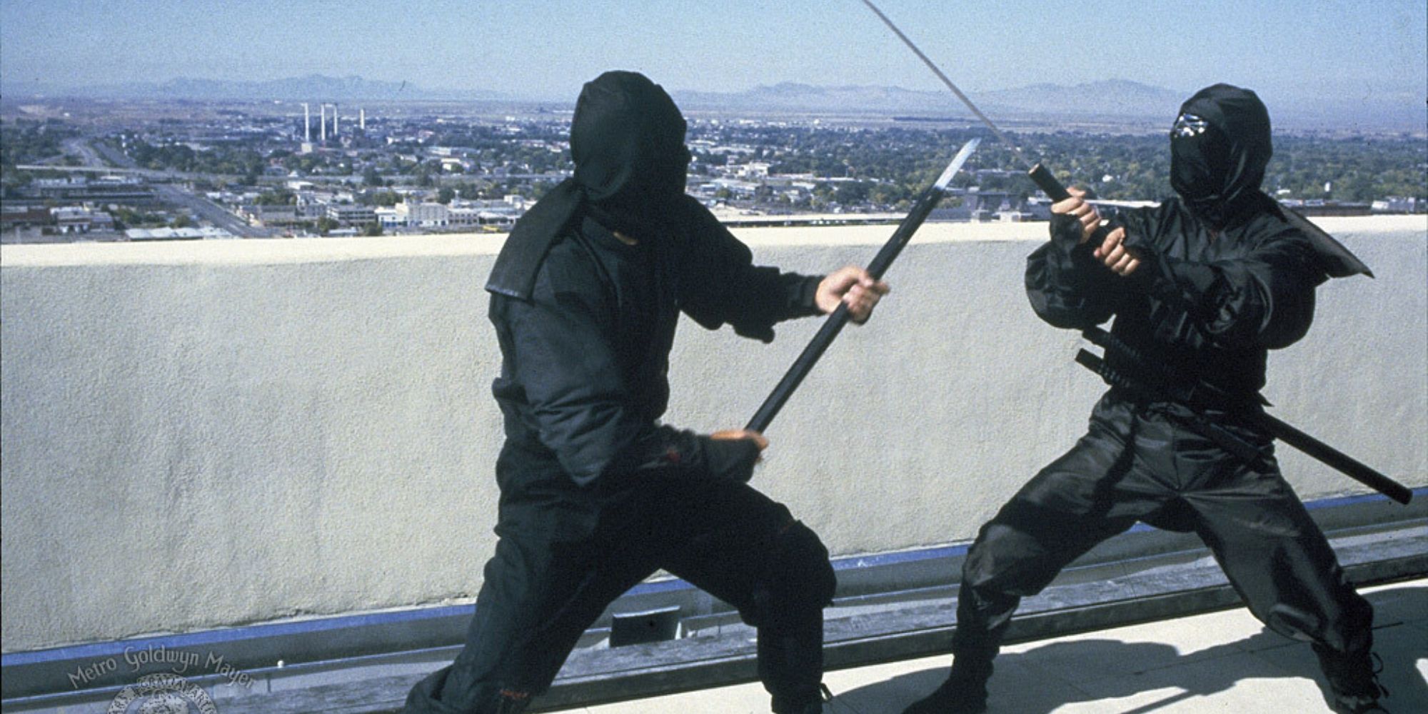 ninja fight in Revenge of the Ninja