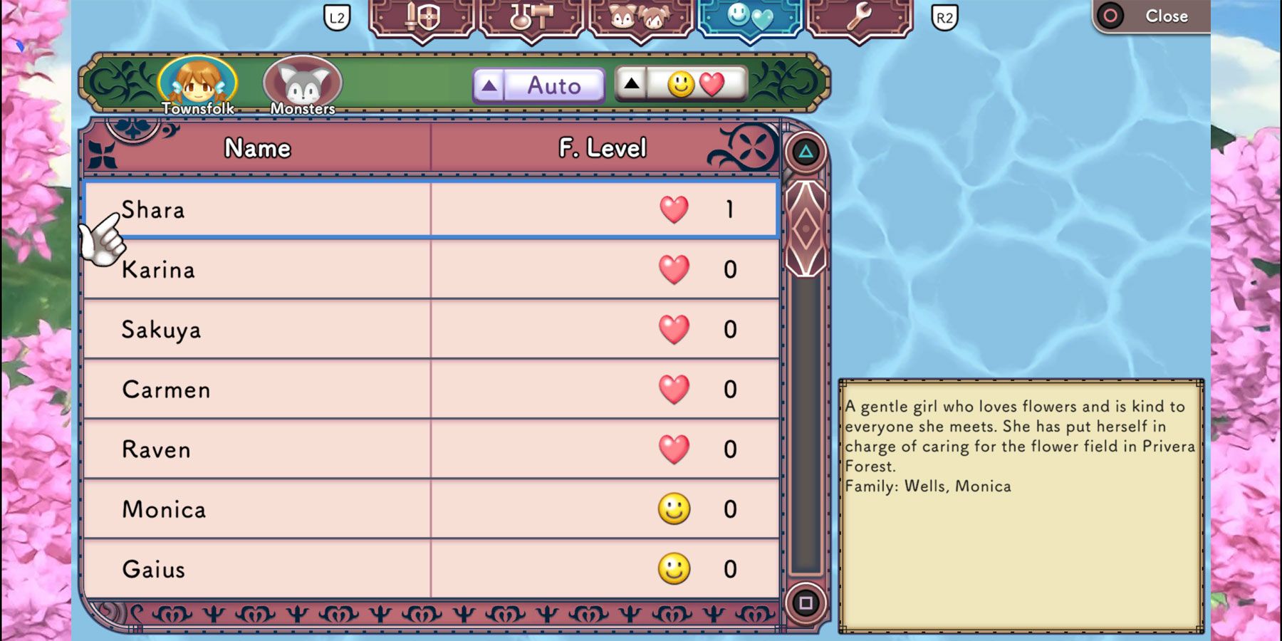 Friendship Menu in Rune Factory 3: Special.