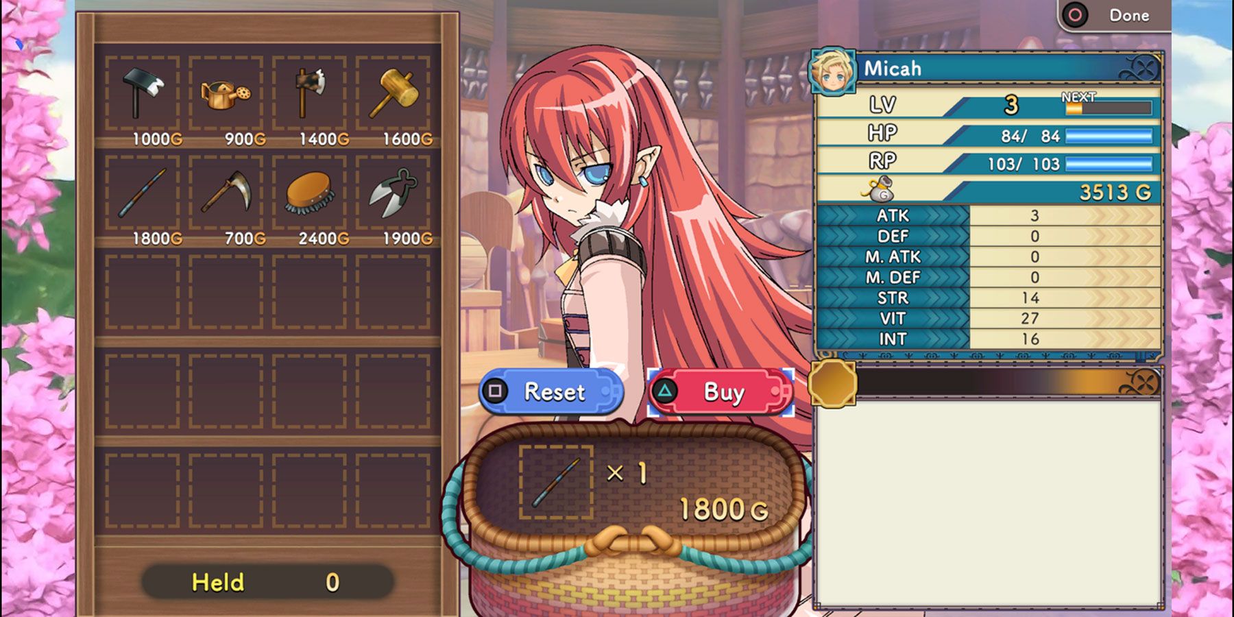 Buying a Fishing Pole in Rune Factory 3: Special