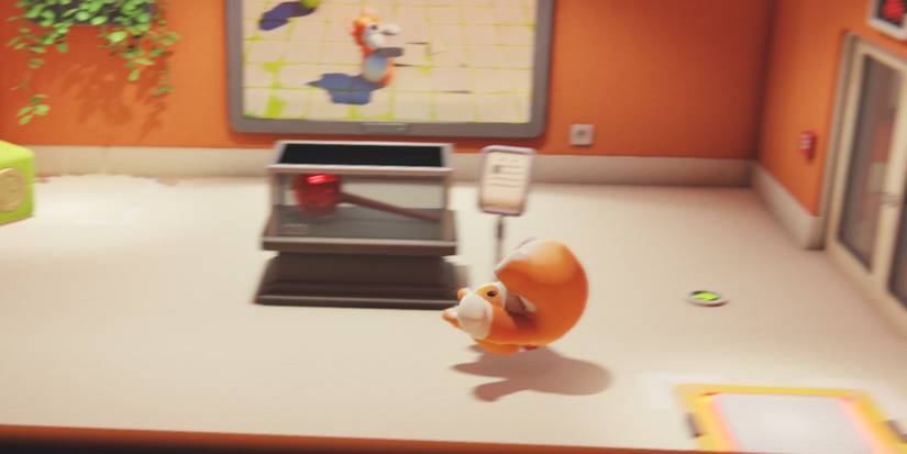 dog rolling across the floor