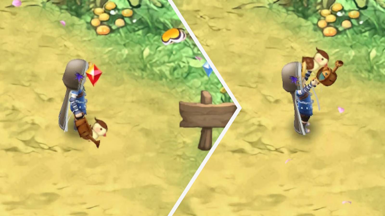 rune factory 3 special how to catch birds guide