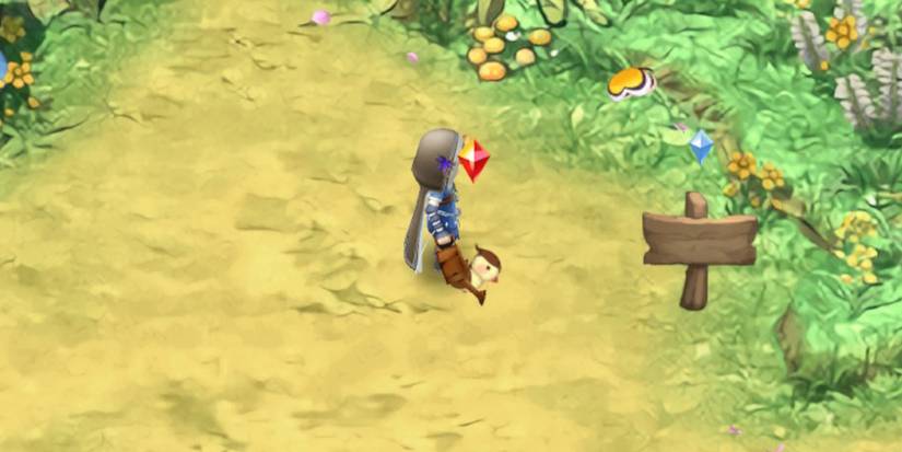 Rune-Factory-3-Special-How-to-Catch-Birds-Sophie-02-1