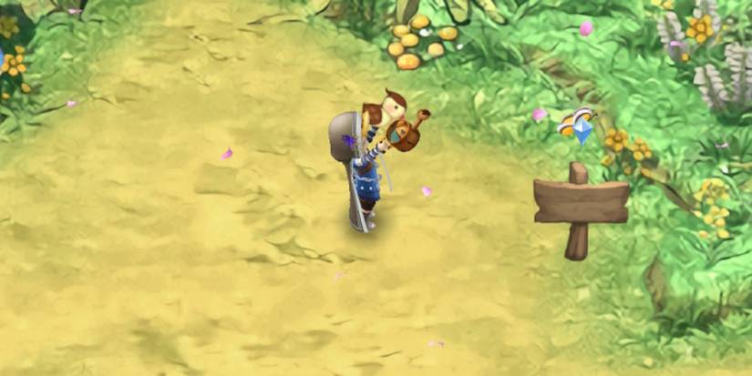 Rune-Factory-3-Special-How-to-Catch-Birds-Sophie-04-1