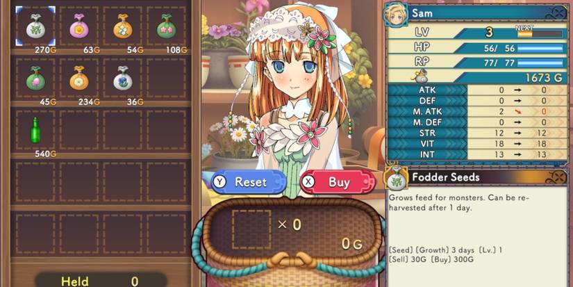 Rune-Factory-3-Special-How-to-Get-Grass-Fodder-Seeds-03