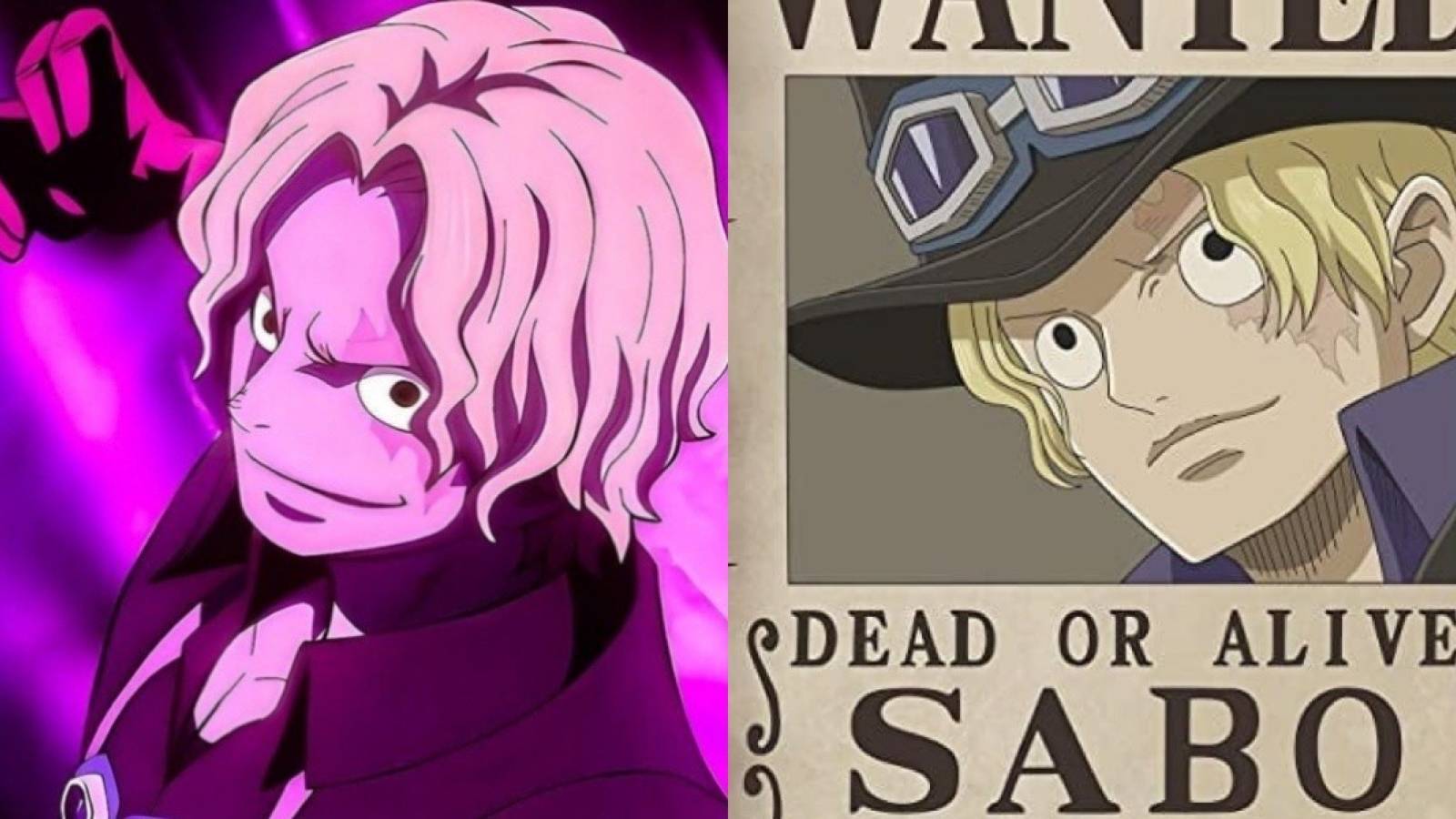 Sabo bounty one piece