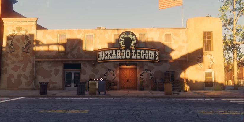 Buckaroo Leggings in Saints Row.