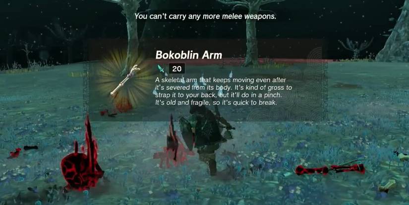 Link Picking Up A Bokoblin Arm