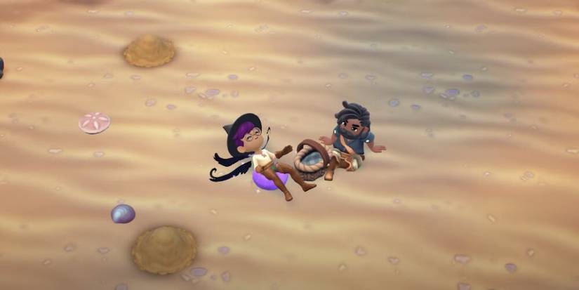 The Player And Jack On A Picnic