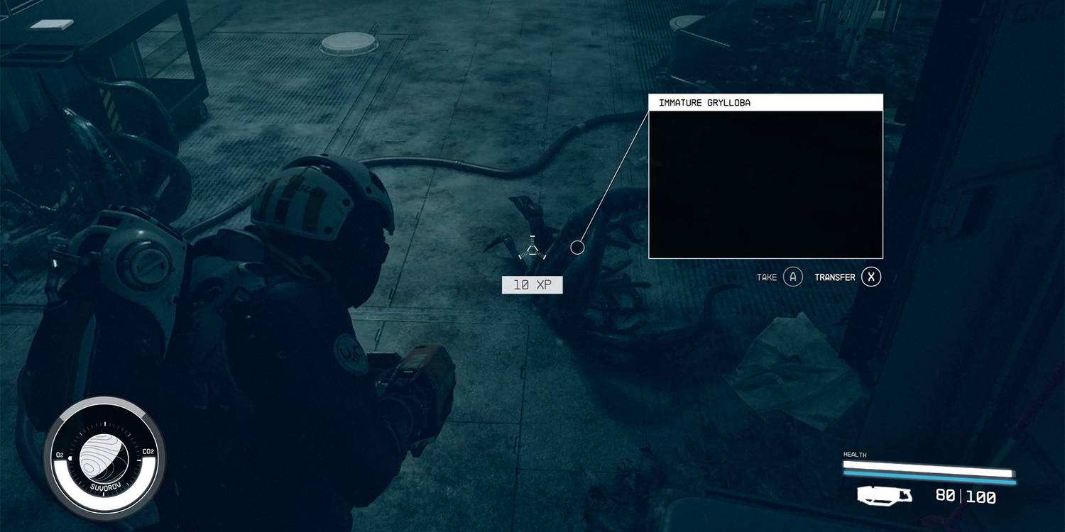 cos del Pasado cos del Pasado