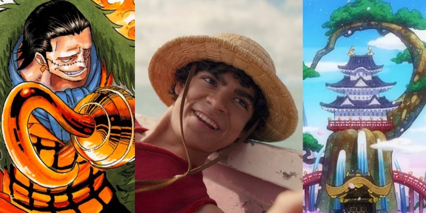 One Piece Live-Action Accidentally Reveals Crocodile's True Relation With  Luffy That Has Been Hinted for Years - FandomWire