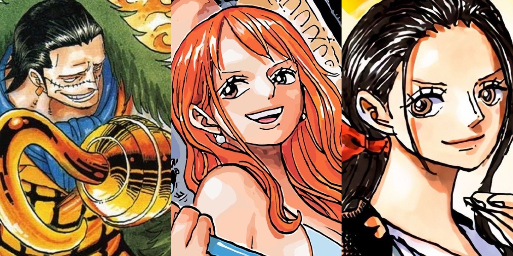 Sir crocodile nami nico robin one piece