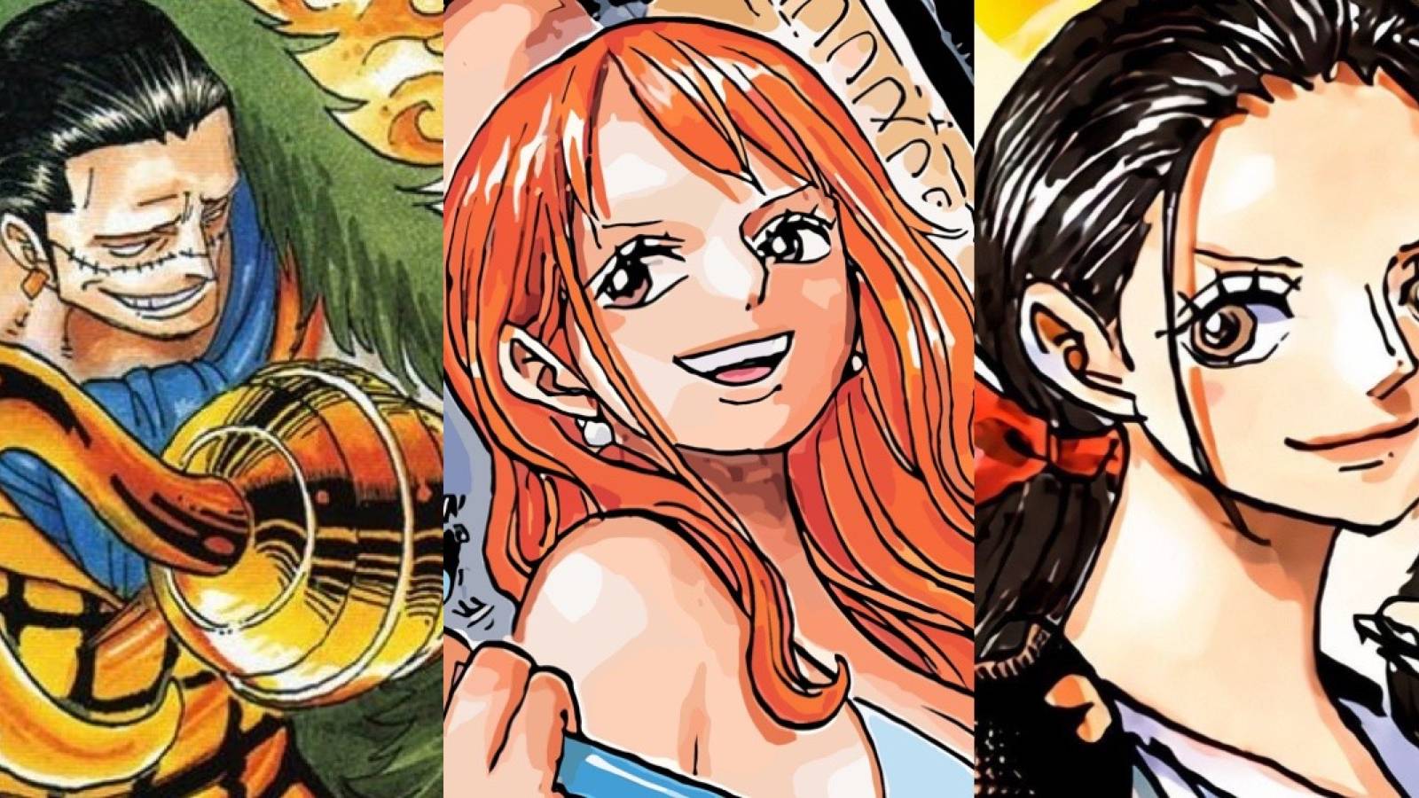 Sir crocodile nami nico robin one piece