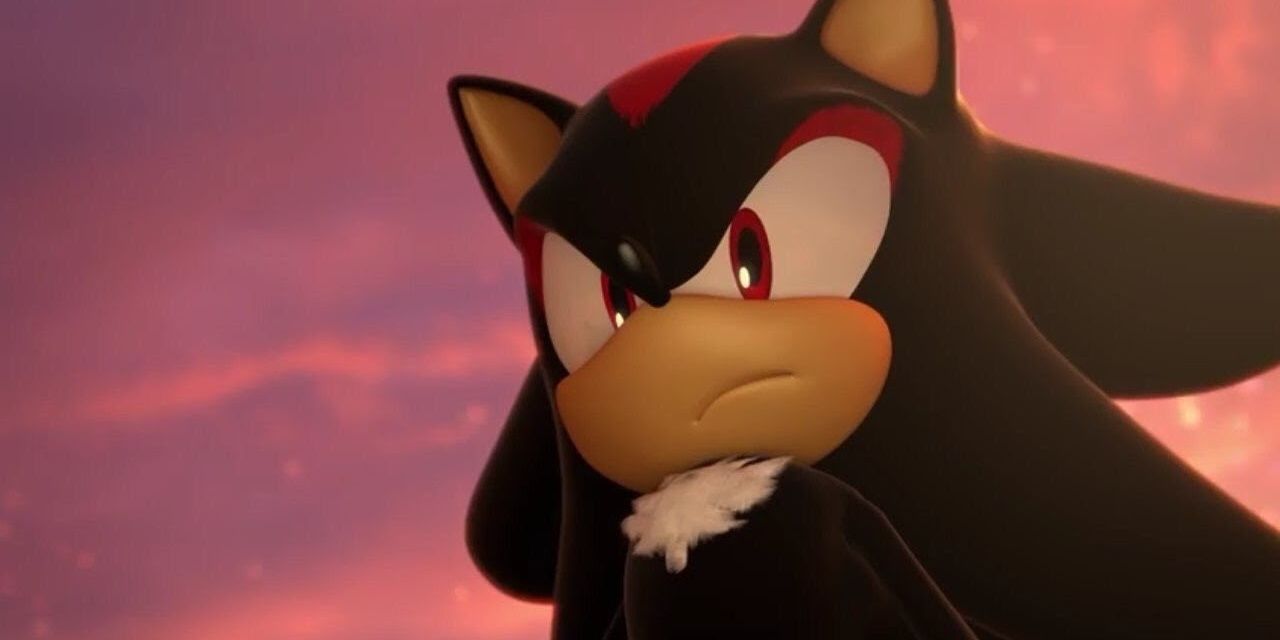 sShadow the hedgehog close-up