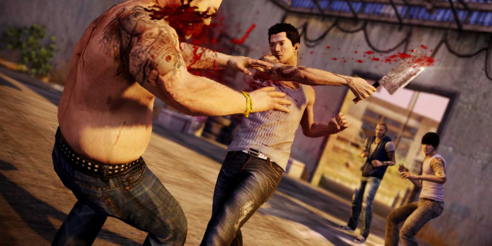 Sleeping Dogs Fight