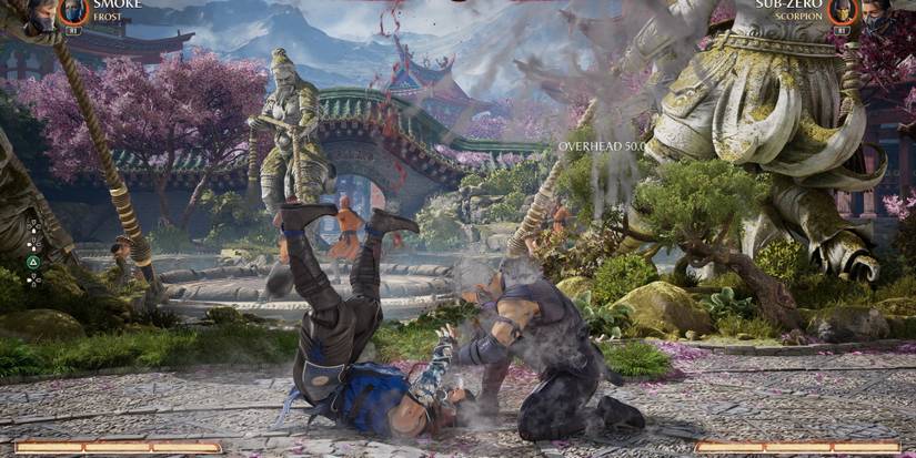 Smoke fighting against Sub-Zero