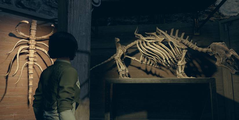 Starfield Best Things To Do In Akila City Honest Earl's Alien Extravaganza