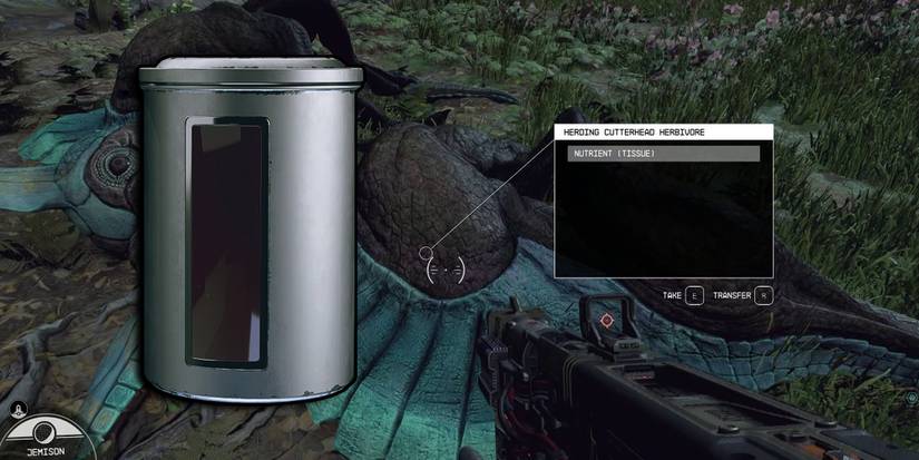 Starfield - Looting From A Random Dead Alien