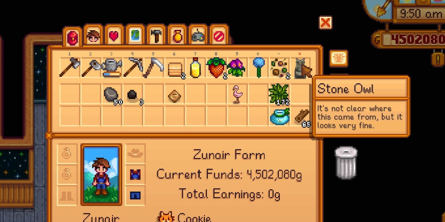 Stardew Valley How to Get The Stone Owl