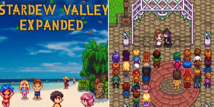 Stardew Valley expanded poster of villagers on a beach next to the image of a pixel woman marrying a pixel wizard with purple hair