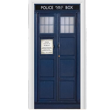 TARDIS door mural