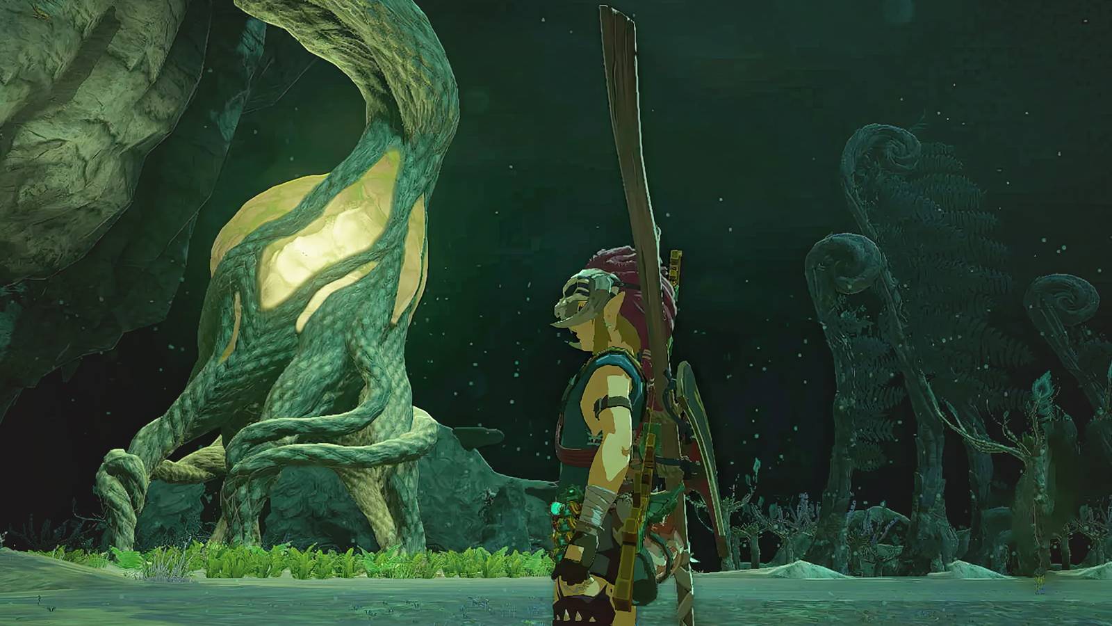 The Legend of Zelda Tears of the Kingdom TOTK Link standing in front of Lightroot