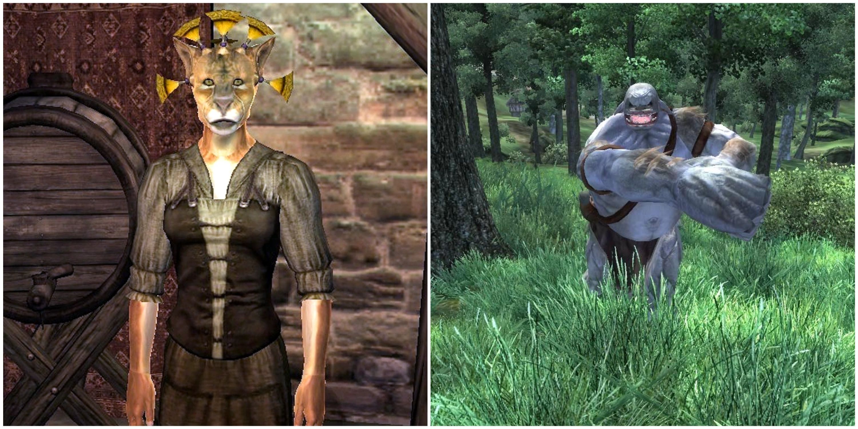 The Potato Snatcher in The Elder Scrolls 4: Oblivion