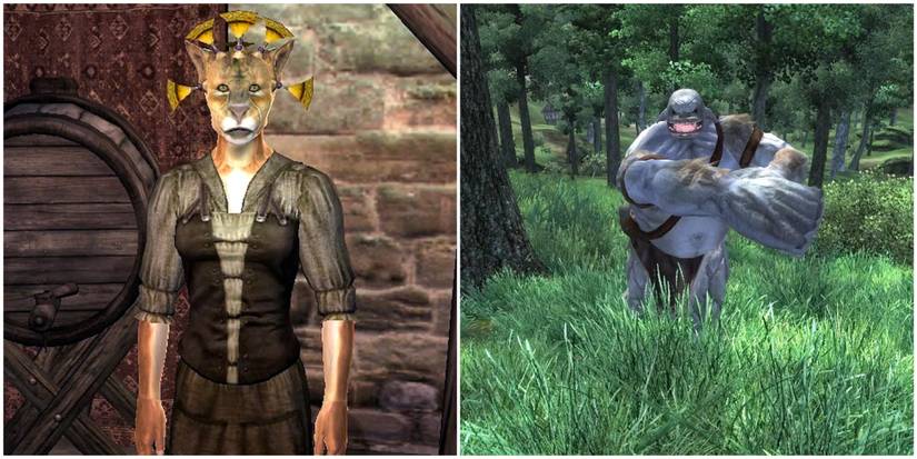 The Potato Snatcher in The Elder Scrolls 4: Oblivion