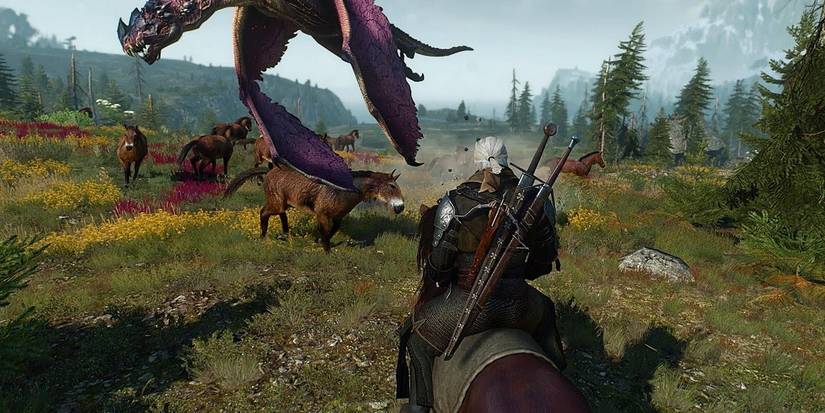 Geralt riding on a horse towards a battle front consisting a dragon and horses in The Witcher 3: Wild Hunt