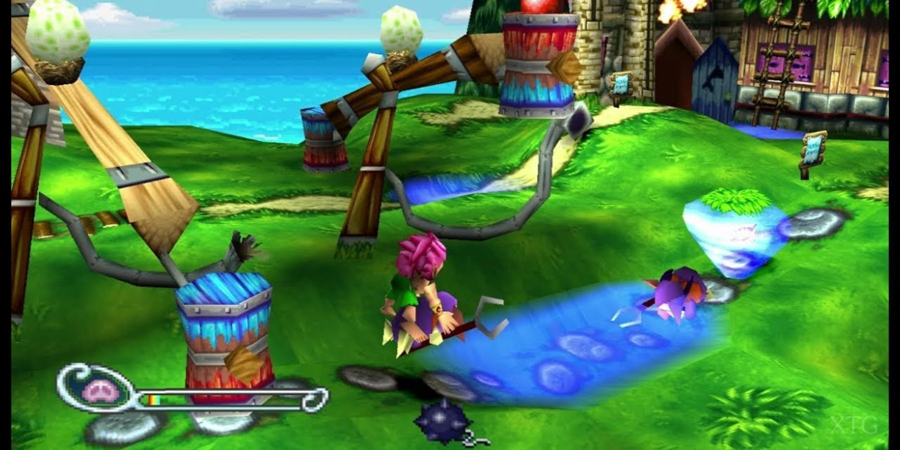 Tomba about engage an Evil Pig