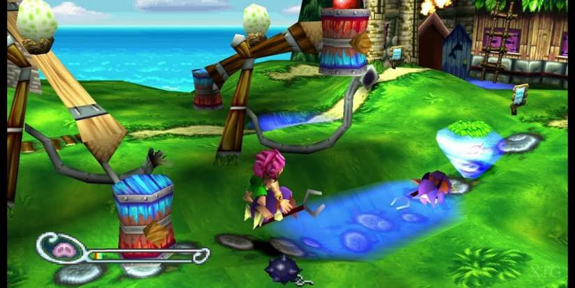 Tomba about engage an Evil Pig