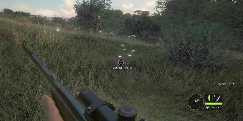 Tracks in theHunter: Call of the Wild