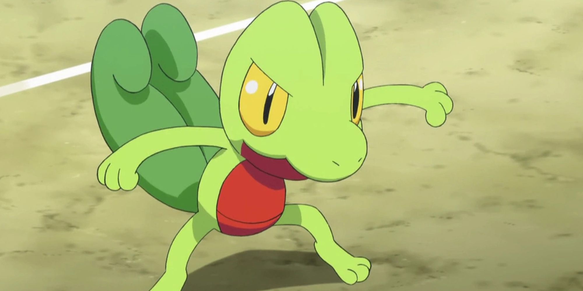 Treecko In The Pokemon Anime