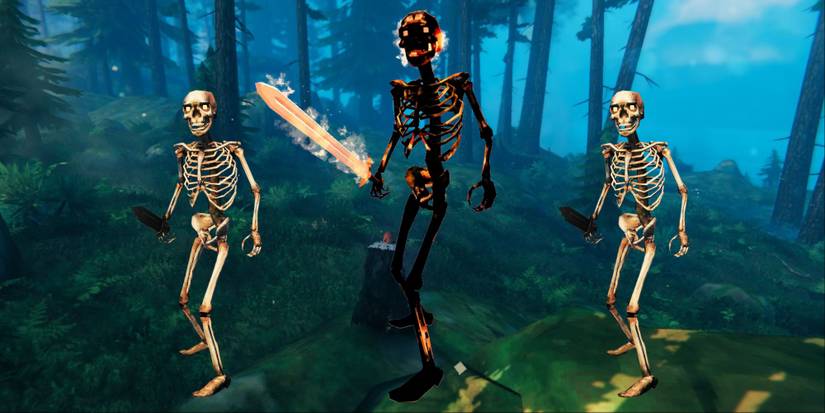 Valheim Black Forest with Brenna miniboss and skeletons